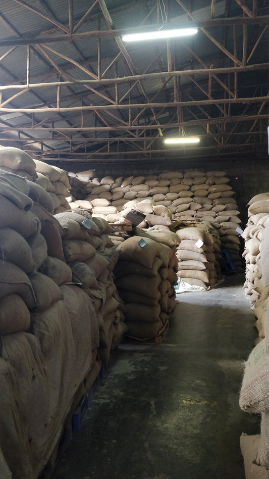 Behind the Scenes 6: Green Coffee, An Intro