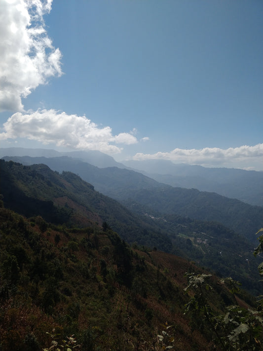 Behind the Scenes 5: A note on Guatemala