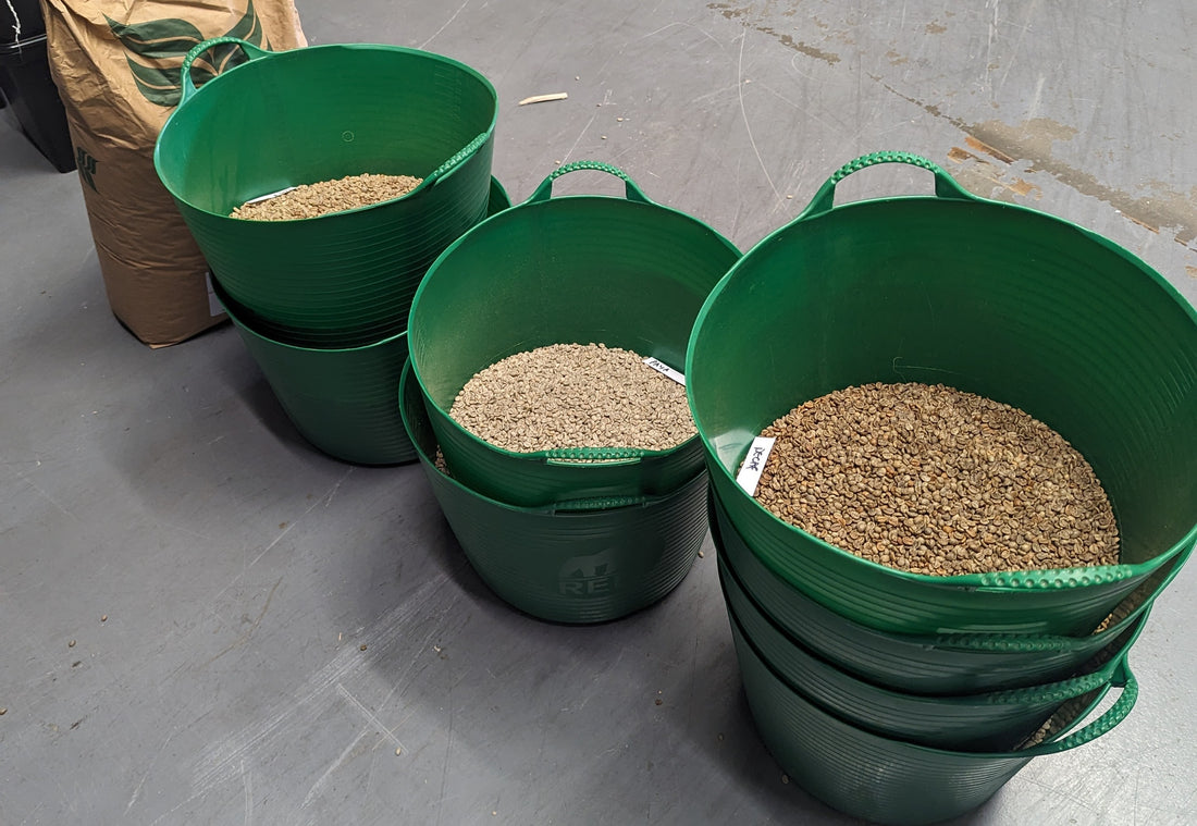 Behind the Scenes 7: The Trilemma of Green Buying