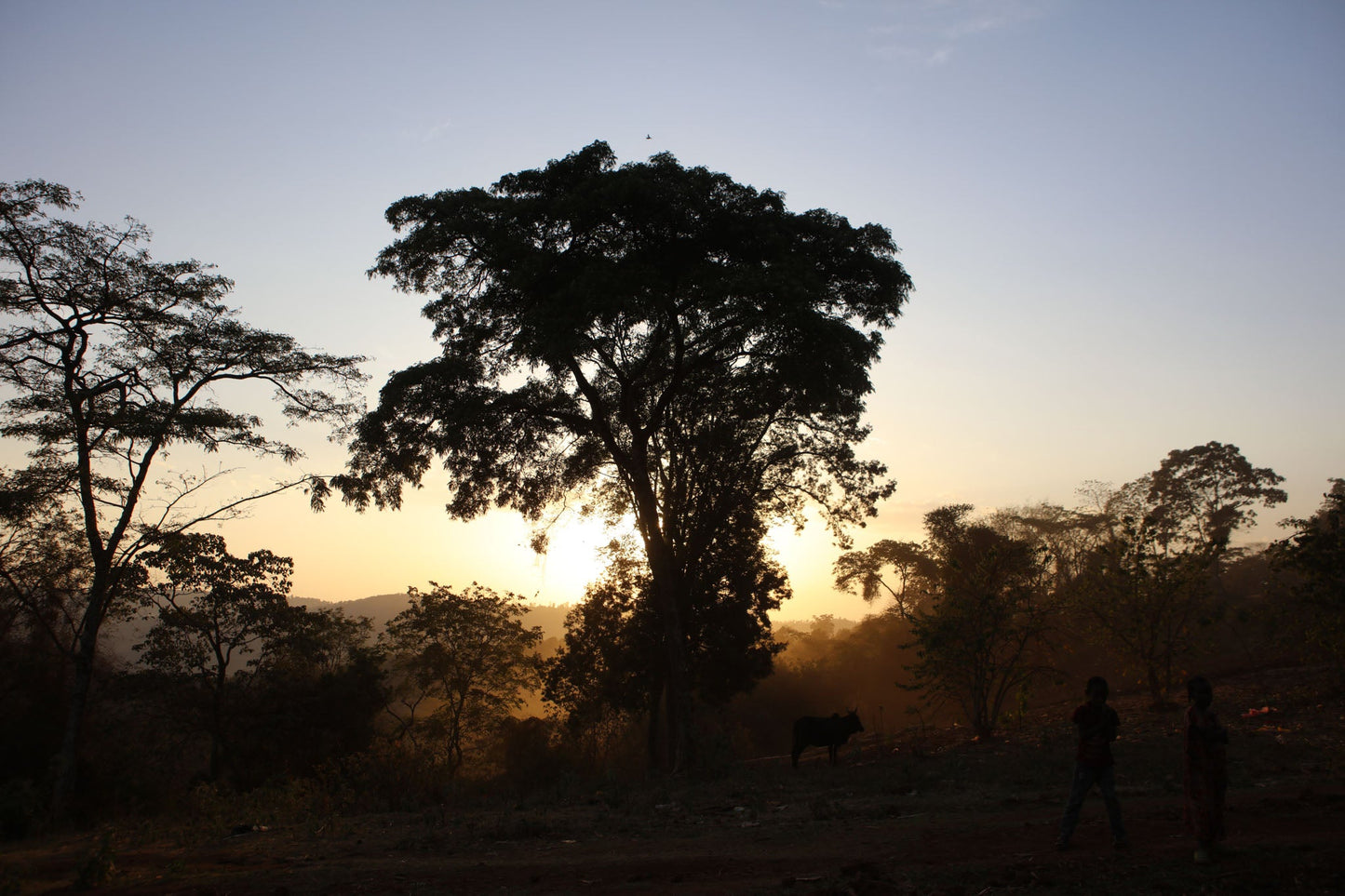 Ethiopia - Gash Sentayehu Special Prep