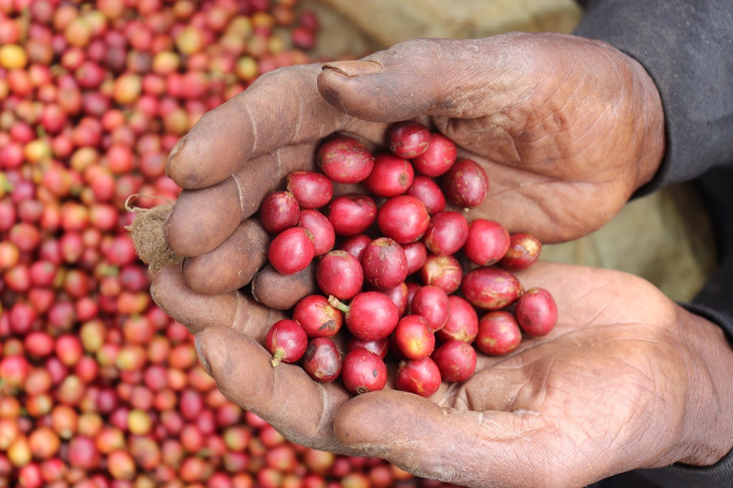 Kenya - Gondo AA #261