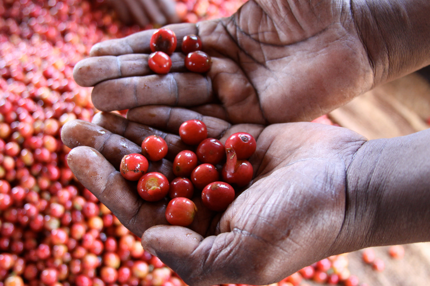 Kenya - Gondo AA #261