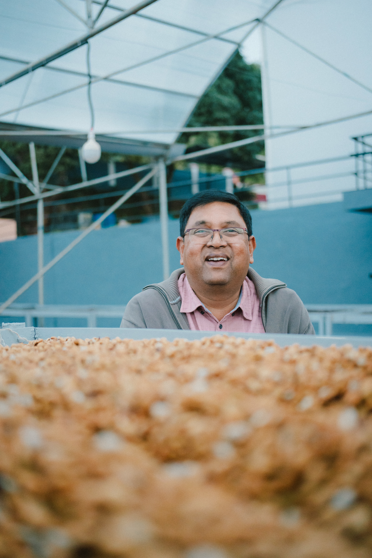 India - Ratnagiri Estate LBS-01