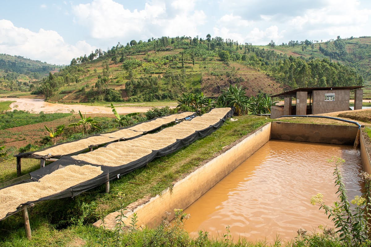 Burundi - Izuba Mugoyi FW