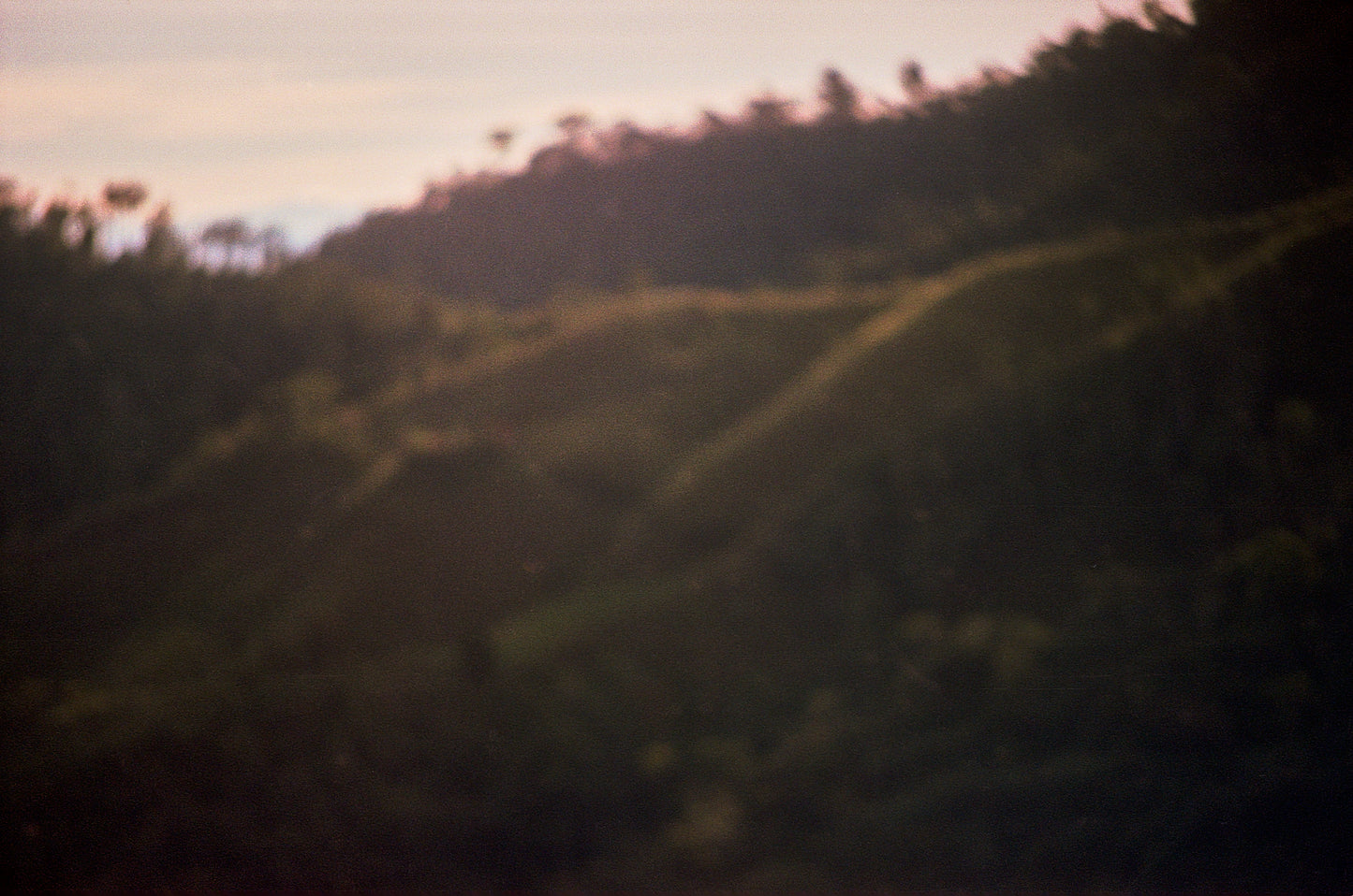 Colombia - Herbert Peñaloza's 575 Gesha