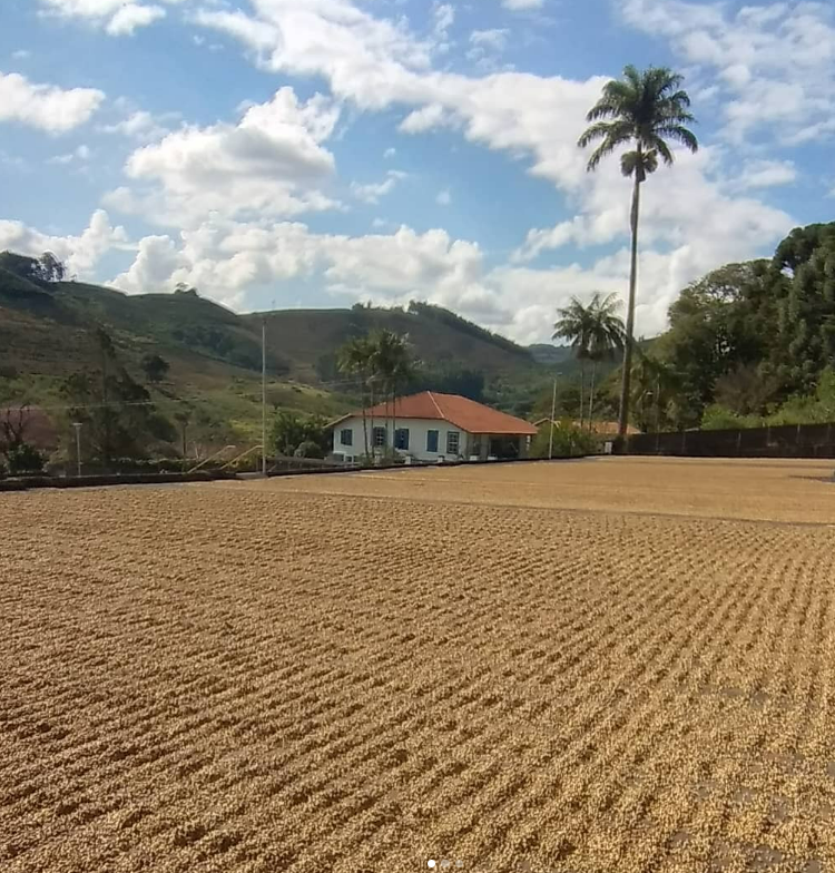 Facility Blend