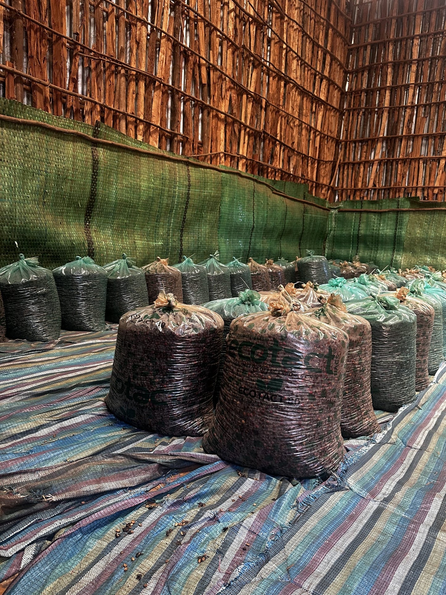 Ethiopia - Gash Sentayehu Special Prep