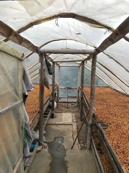 Colombia - Aponte Honey