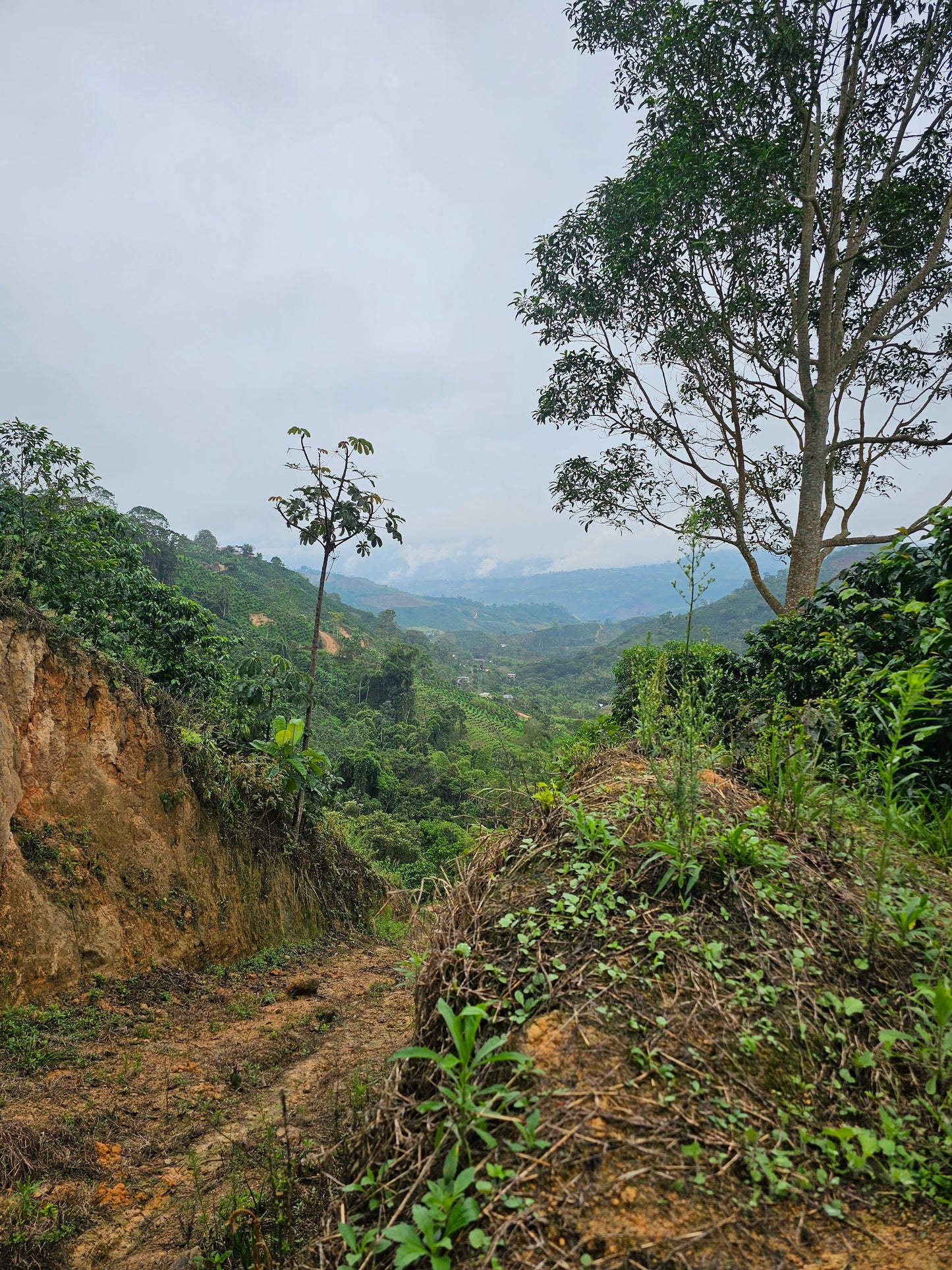 Colombia - La Soledad #7
