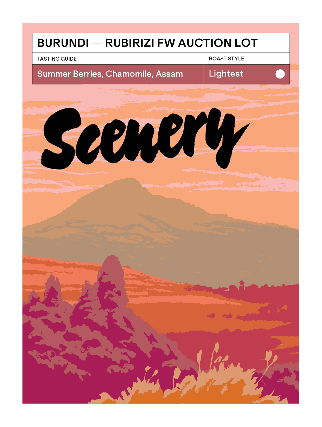 [172] Burundi - Rubirizi Hill FW [Auction Lot] [CROP 25/26 ARCHIVE]