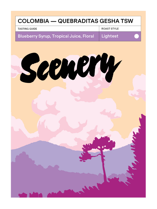 [104] Colombia - Quebraditas Gesha Thermal Shock Washed [CROP 25/26 ARCHIVE]