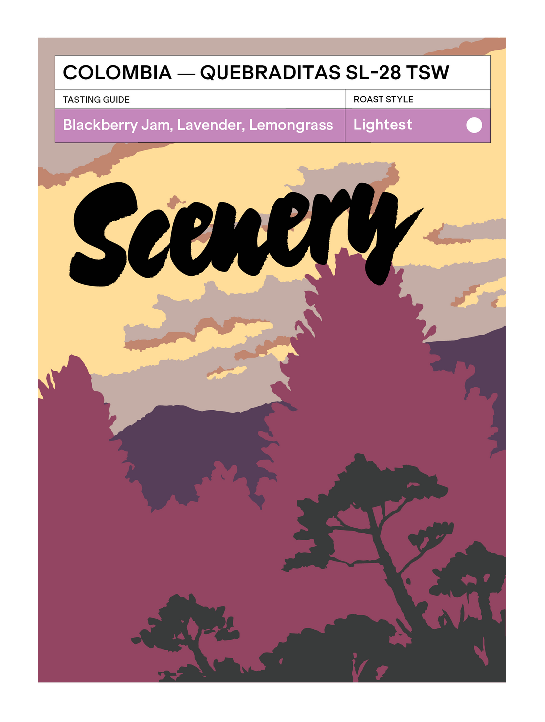 [92] Colombia - Quebraditas SL-28 Thermal Shock Washed [CROP 25/26 ARCHIVE]