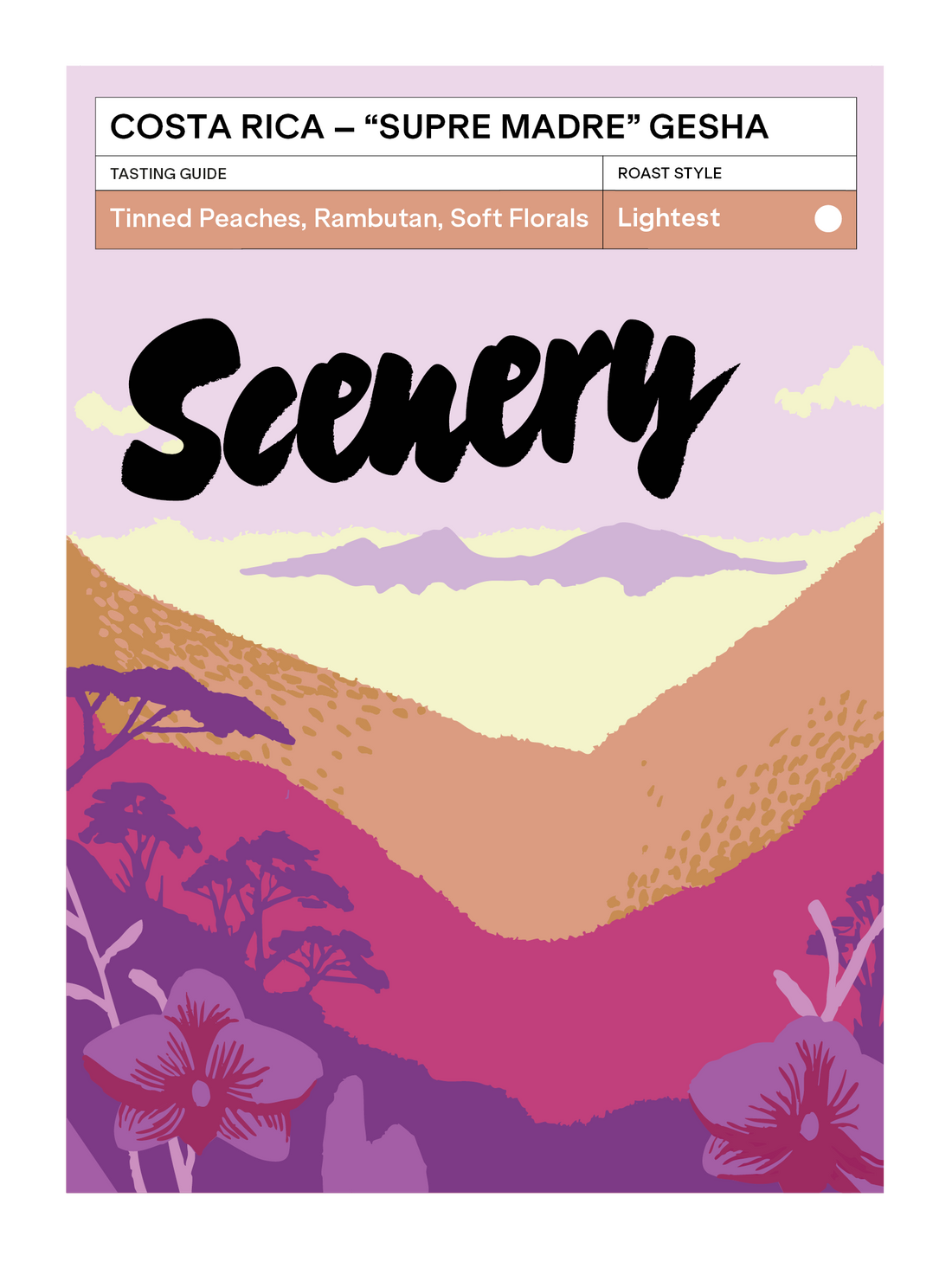 [93] Costa Rica - Don Senel "Supre Madre" Gesha [CROP 24/25 ARCHIVE]