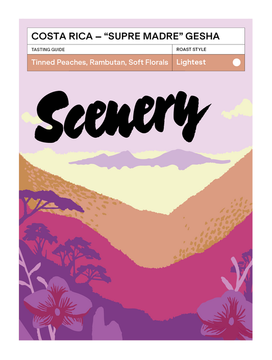 [93] Costa Rica - Don Senel "Supre Madre" Gesha [CROP 24/25 ARCHIVE]