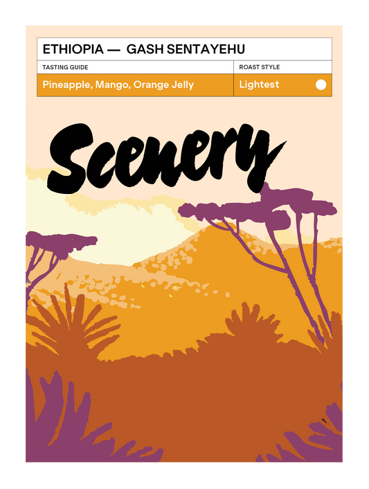 [100] Ethiopia - Gash Sentayehu Special Prep [CROP 24/25 ARCHIVE]