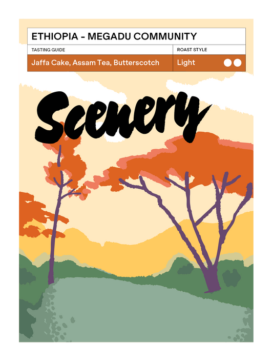 [105] Ethiopia - Megadu Community Natural [CROP 24/25 ARCHIVE]