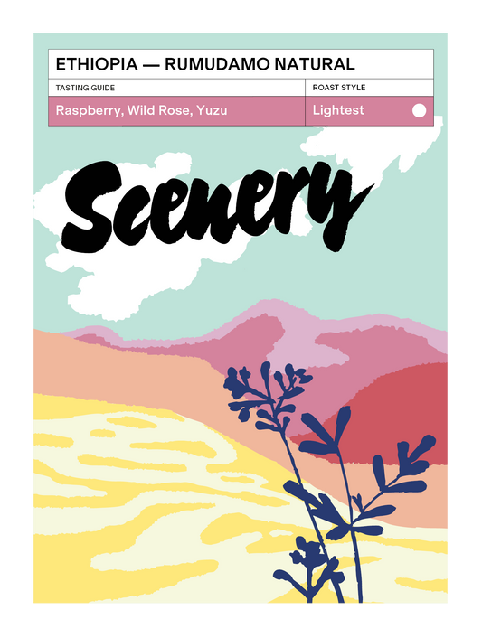 [102] Ethiopia - Rumudamo Natural [CROP 24/25 ARCHIVE]