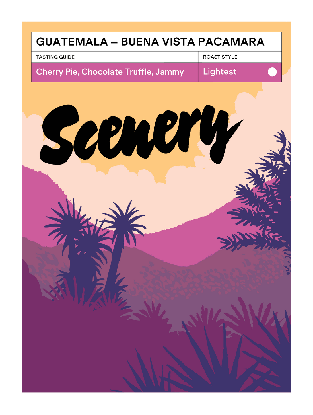 [94] Guatemala - Fredy Orantes' Buena Vista Pacamara [CROP 24/25 ARCHIVE]