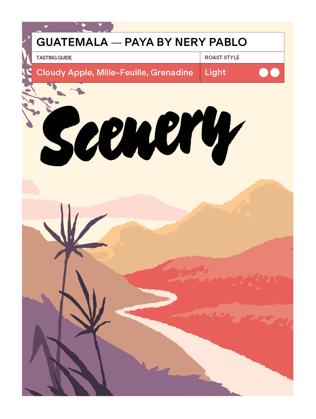 [95] Guatemala - Paya by Nery Pablo [CROP 24/25 ARCHIVE]