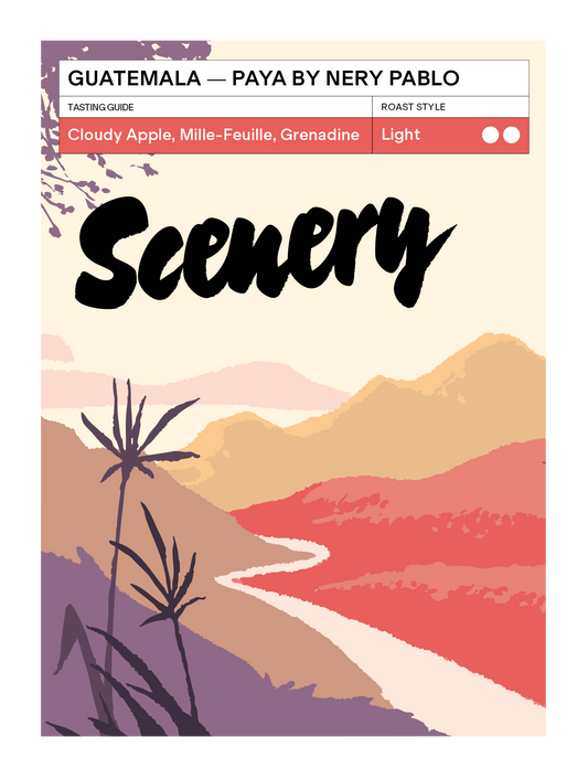 [95] Guatemala - Paya by Nery Pablo [CROP 24/25 ARCHIVE]