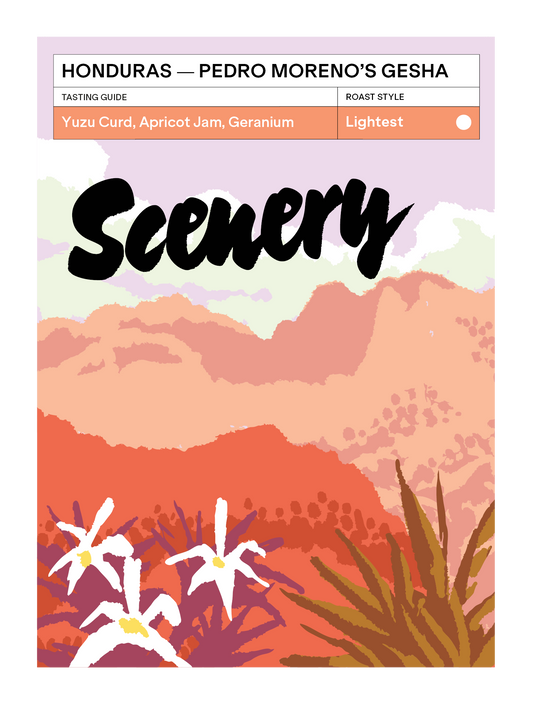 [120] Honduras - Pedro Moreno's Gesha [CROP 25/26 ARCHIVE]