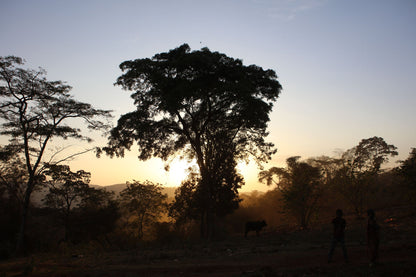 Ethiopia - Gash Sentayehu Special Prep