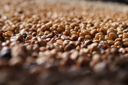 Ethiopia - Weessi Tima Anoxic Honey