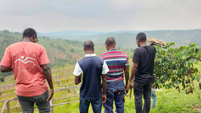 Rwanda - Dahwe FW 26/27