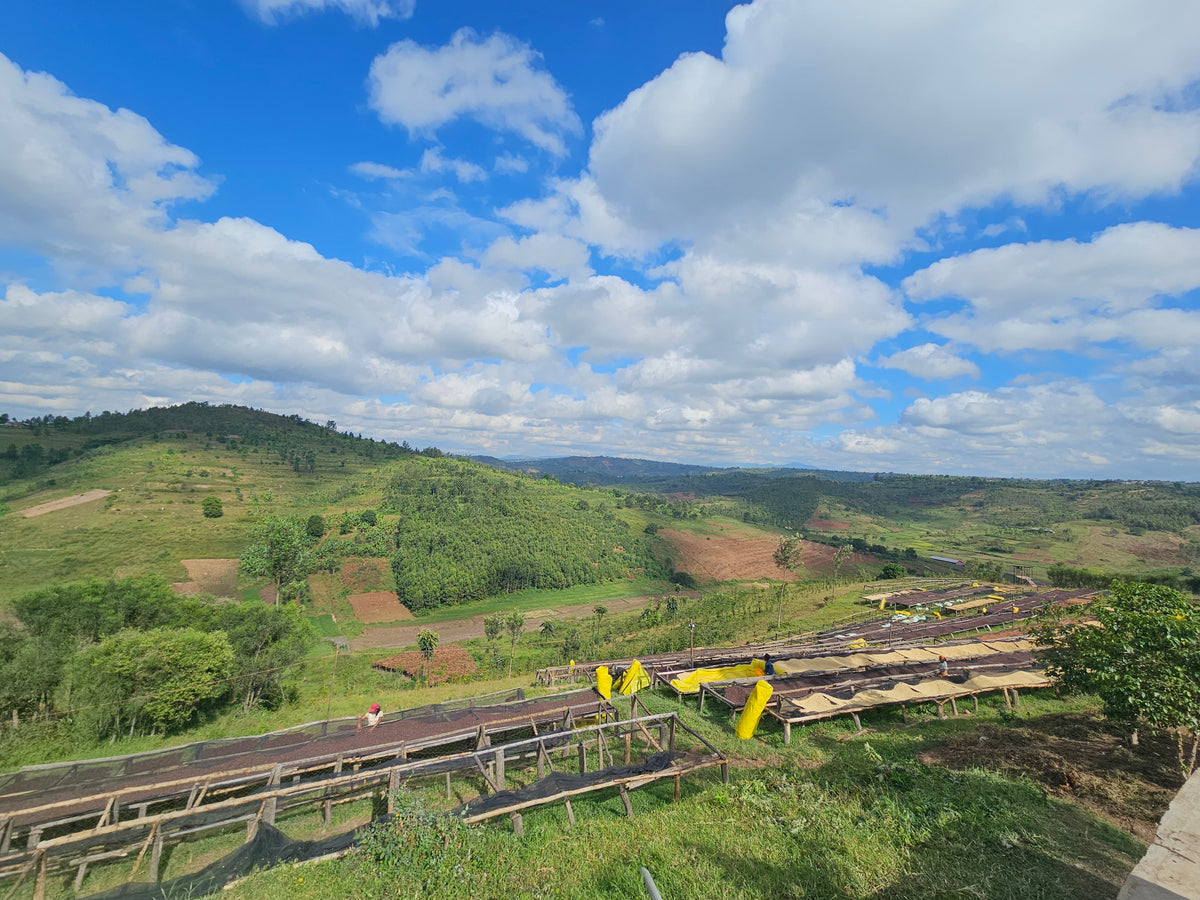 Rwanda - Dahwe FW 26/27