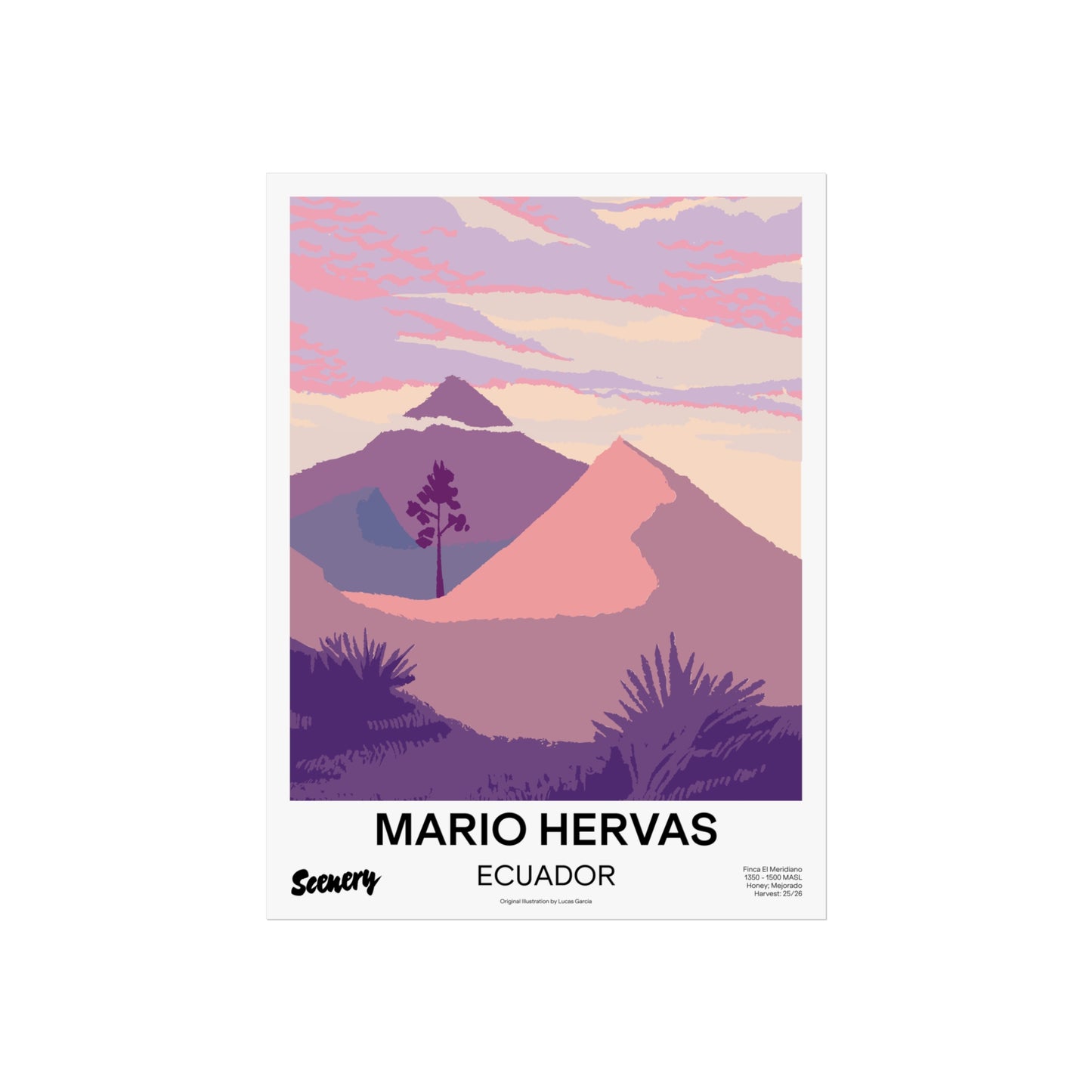 Ecuador - Mario Hervas Honey | Fine Art Poster