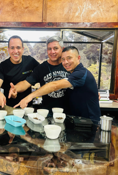 Scenery × siopTEC: Panama - Hachi "Gyaku" Gesha #184