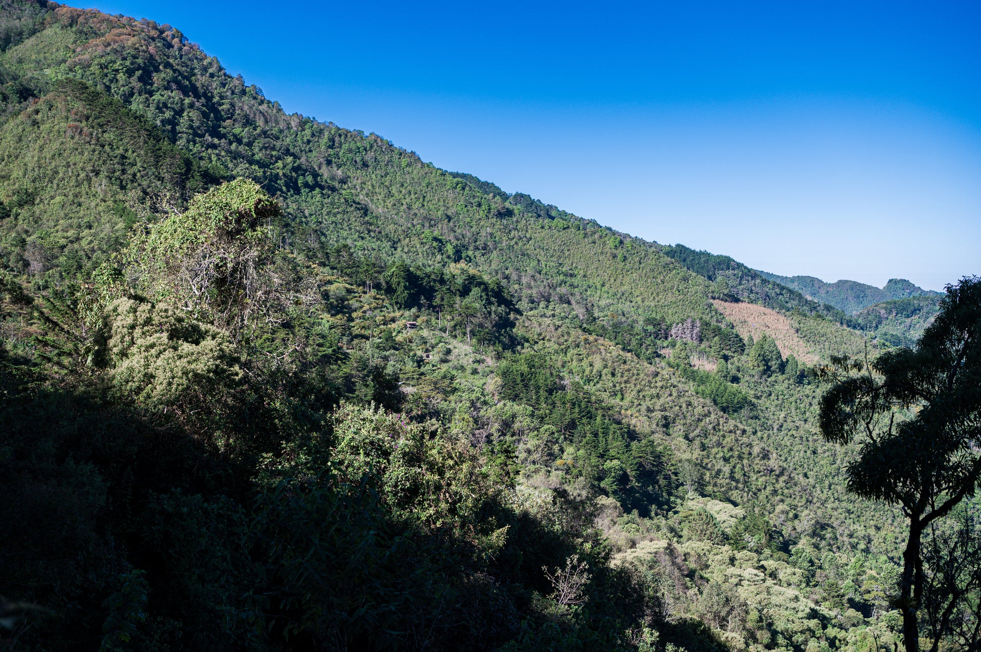 The landscape around Concepcion Huista, Guatemala [Photo Credit: Primavera Coffee]