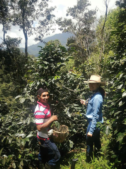 Nicaragua - Las Tres Hermanas Tekisic FW