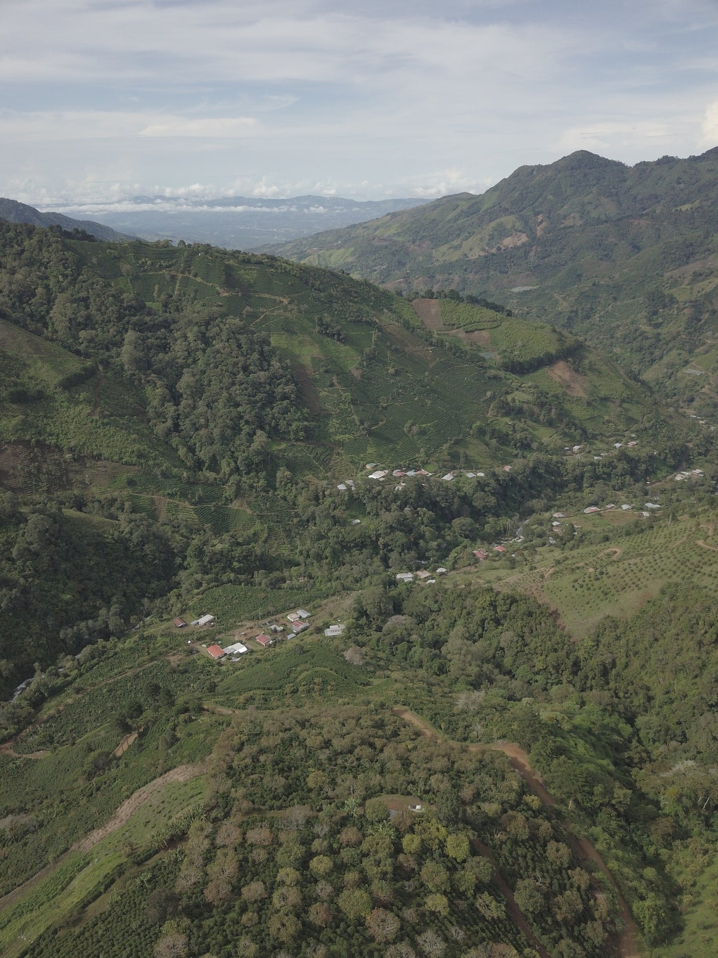 Costa Rica - Los Toños Java