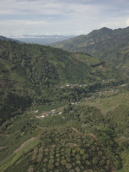 Costa Rica - Los Toños Java