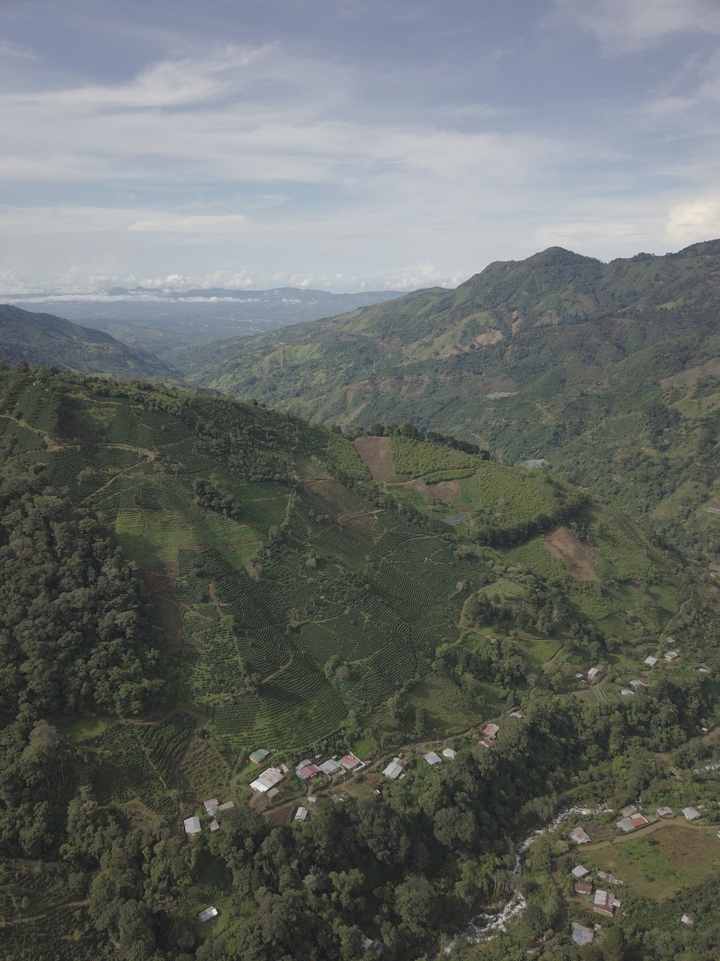 Costa Rica - Corazón de Jesús "Los Toños" Java