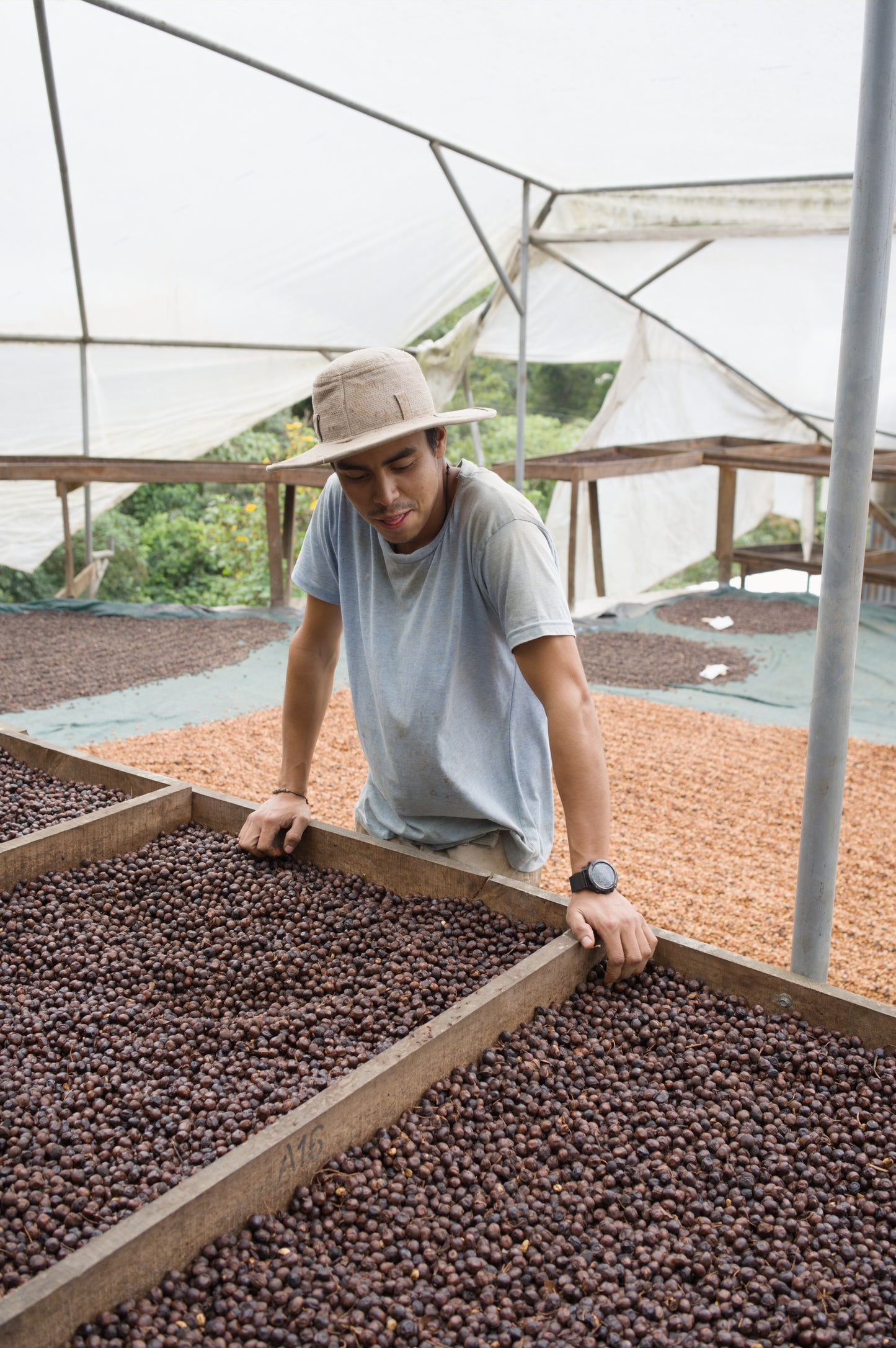 Costa Rica - Corazón de Jesús "Los Toños" Java
