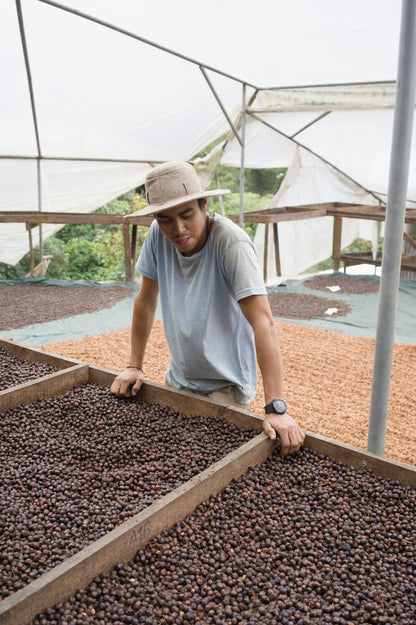 Costa Rica - Corazón de Jesús "Los Toños" Java