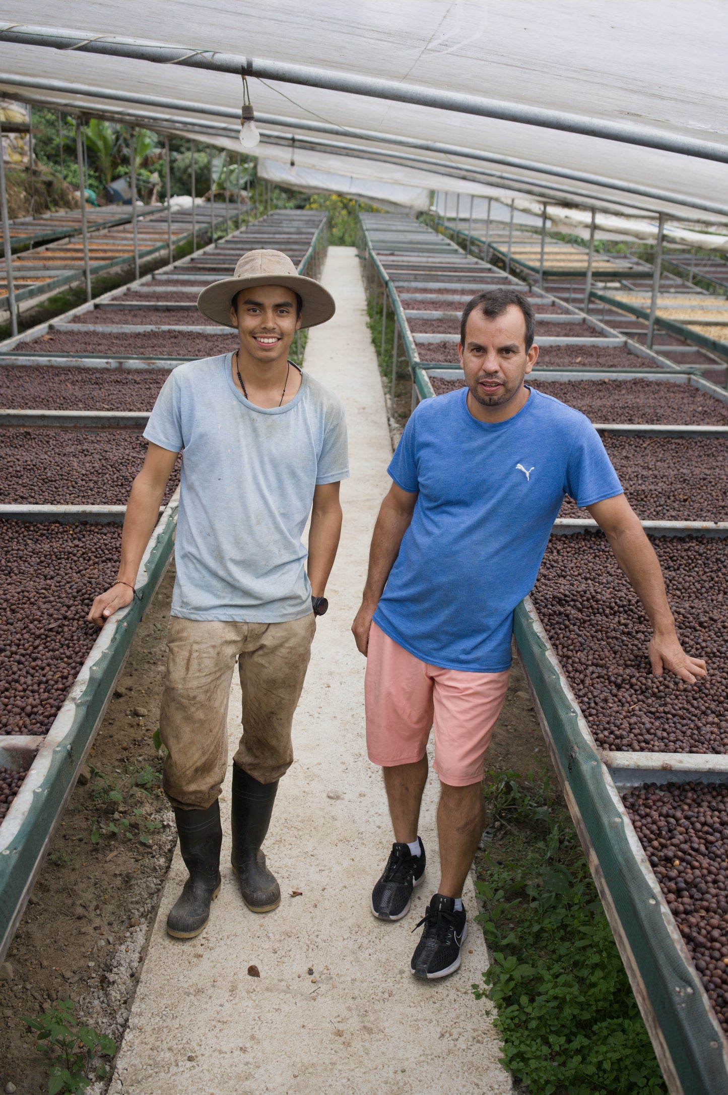 Costa Rica - Corazón de Jesús "Los Toños" Java