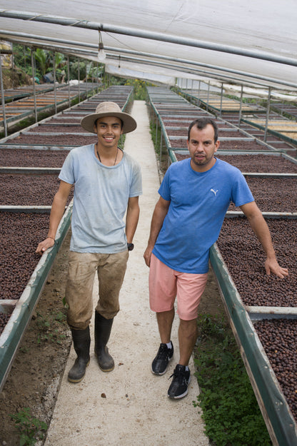 Costa Rica - Corazón de Jesús "Los Toños" Java