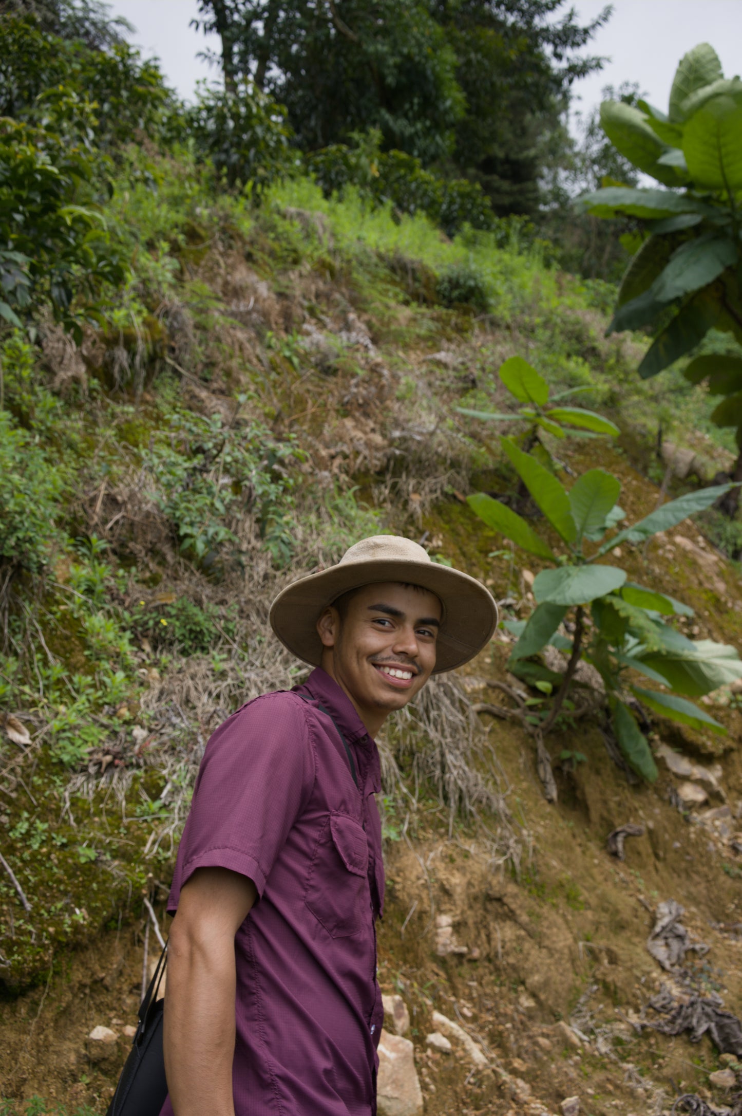 Costa Rica - Corazón de Jesús "Los Toños" Java
