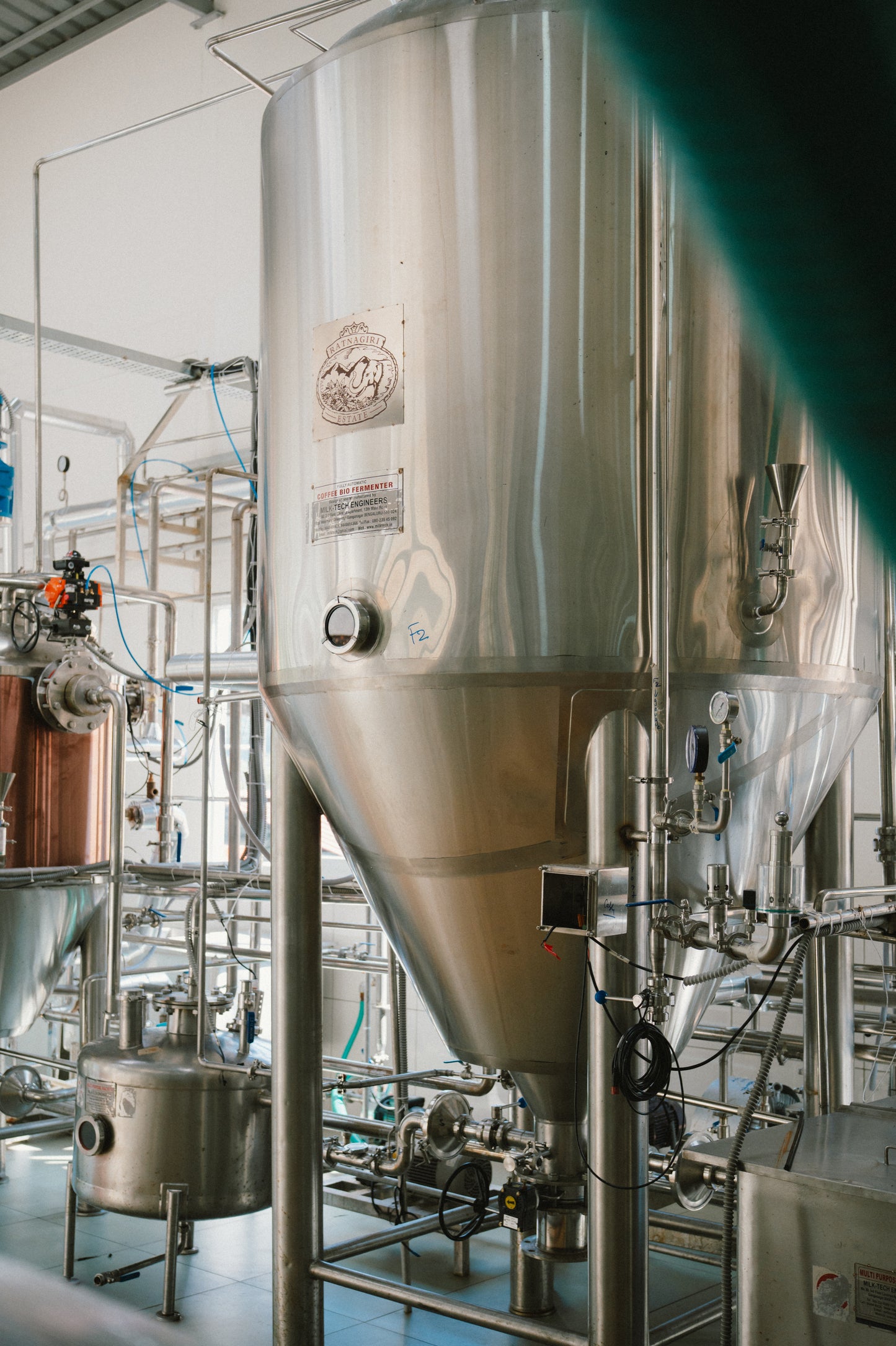 India - Ratnagiri Estate DH-13 Honey