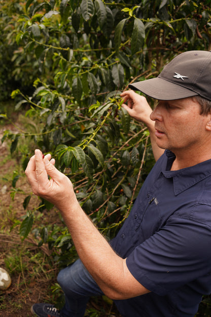 Costa Rica - Las Margaritas 26 H-17