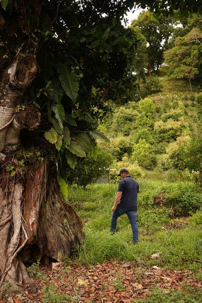 Costa Rica - Las Margaritas 26 H-17