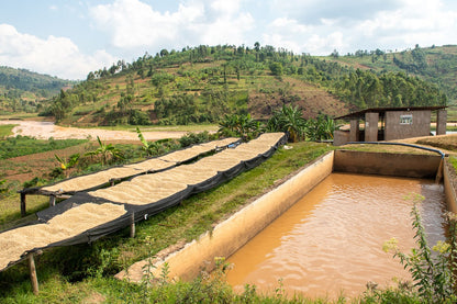 Burundi - Izuba Mugoyi FW