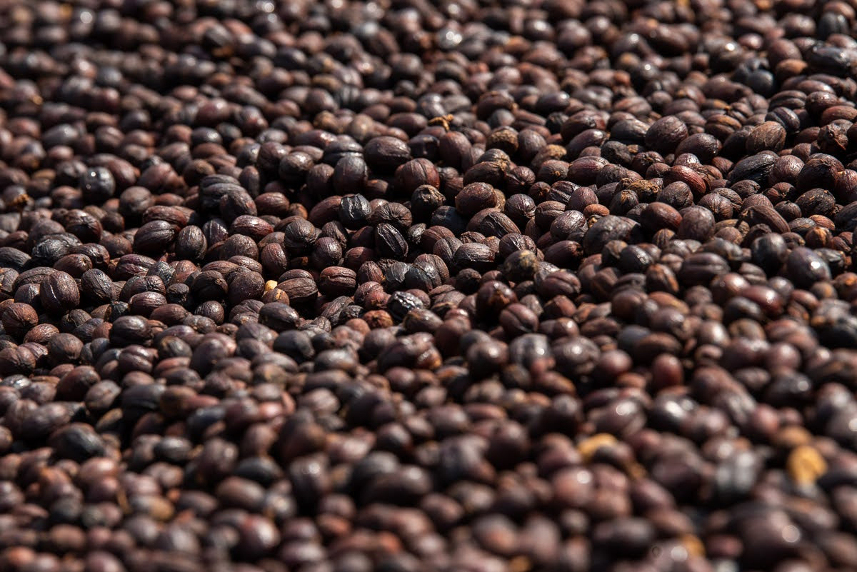 Burundi - Izuba Mugoyi Natural [25/26]