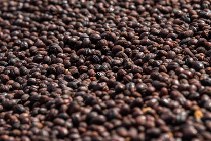 Burundi - Izuba Mugoyi Natural [25/26]