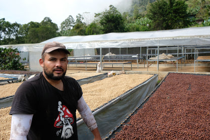 Costa Rica - Don Senel "Supre Madre" Gesha