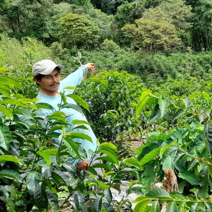 Peru - Edwin Herrera Ocampo's SL9