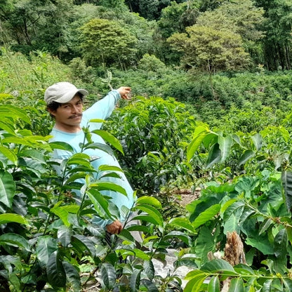 Peru - Edwin Herrera Ocampo's SL9